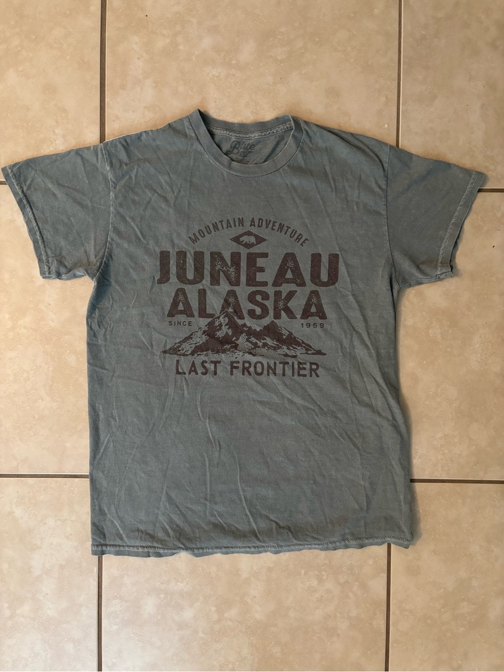 Blue 84 Vintage Juneau Alaska Graphic Tee Last Frontier Mountain Adventure